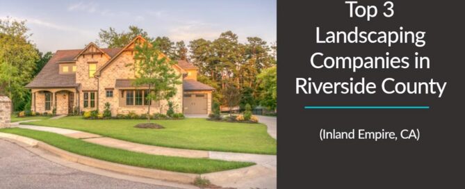 View of a home's landscaped front yard