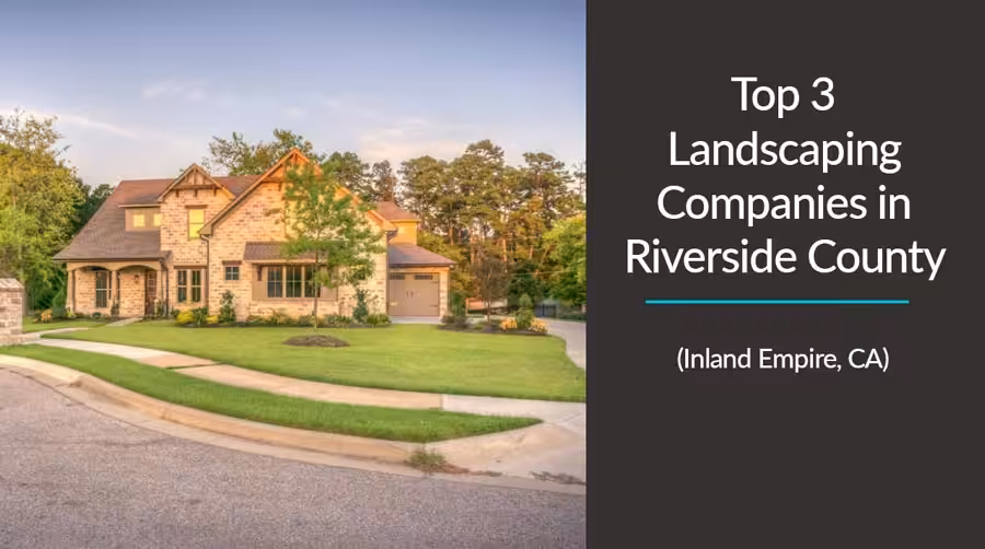View of a home's landscaped front yard