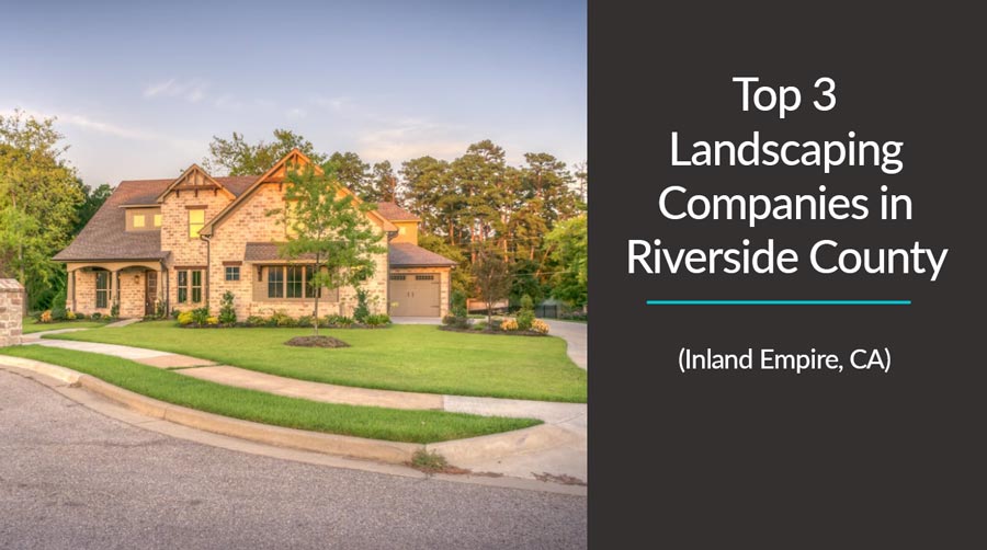 View of a home's landscaped front yard