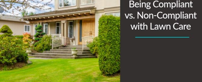 Green lawn in front of house