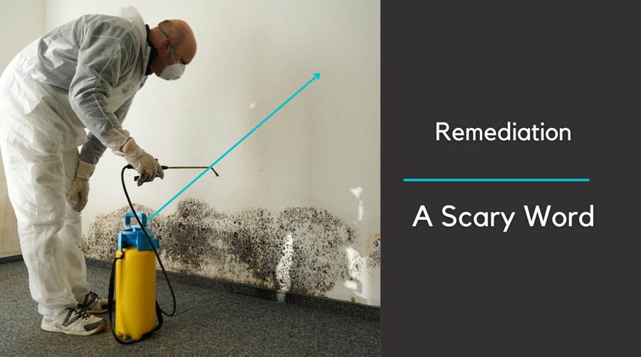 workperson in personal protective suit spraying for mold