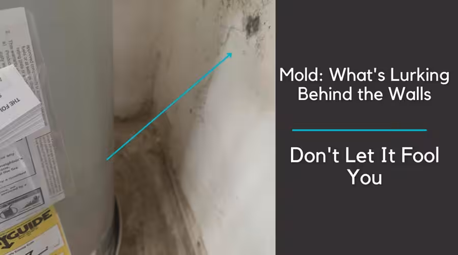 a moldy corner of a home