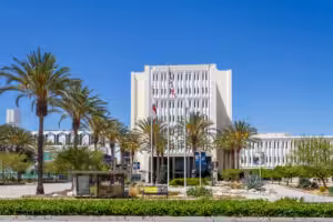 California State University California State University