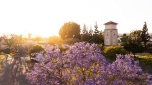 Downtown clock tower in la habra california