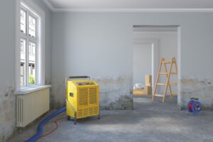 Remediation Phase