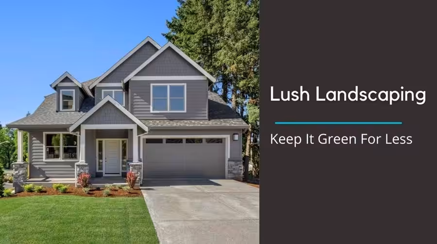 That yard of Yours: Keep it Green for Less exterior shot of a home with a green lawn