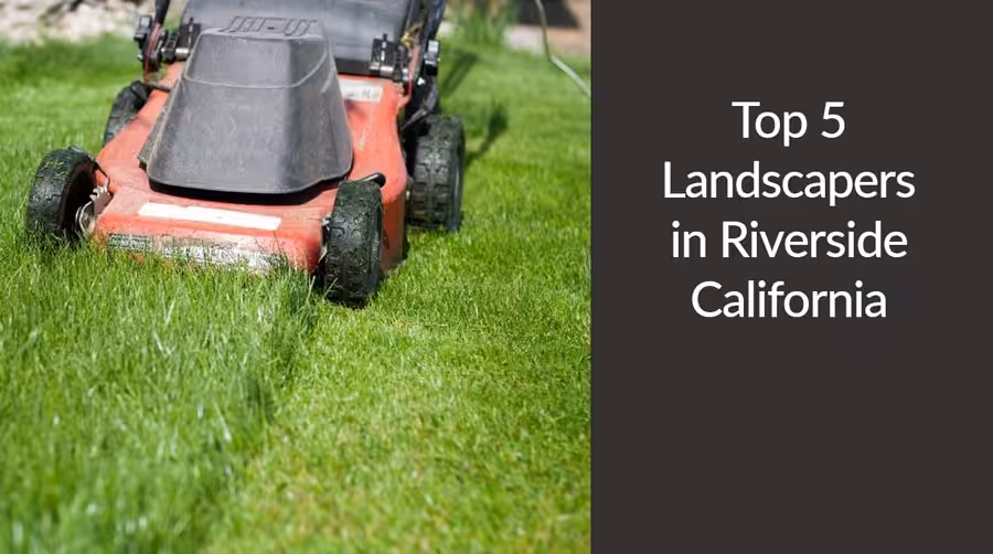 lawnmower cutting grass