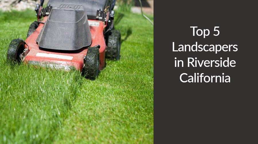 lawnmower cutting grass