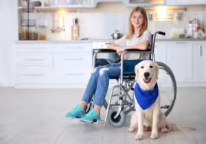 Girl in a wheelchair with a dog ESA animal