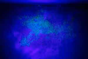 Blacklight Water marks showing using the blue light