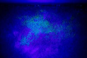 blacklight