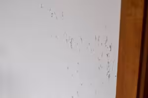 Pet scratches on white wall Pet scratches on white wall