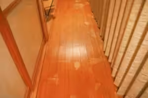 Pet urine stains in the floor Pet urine stains in the floor