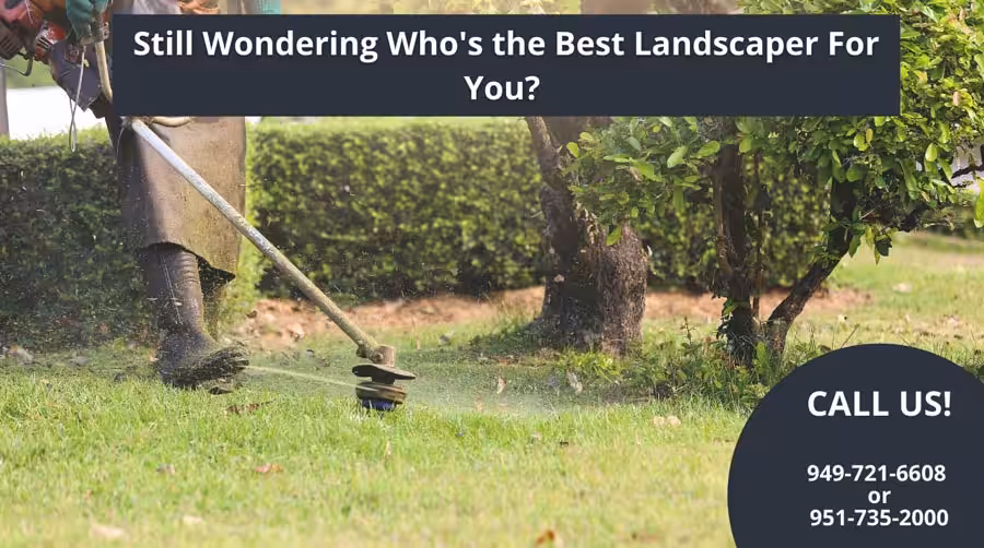 person using a weed-whacker