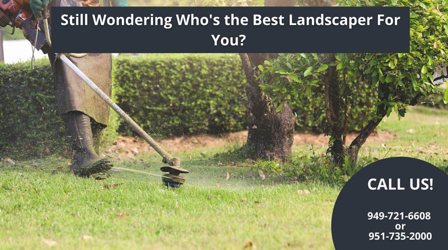 person using a weed-whacker