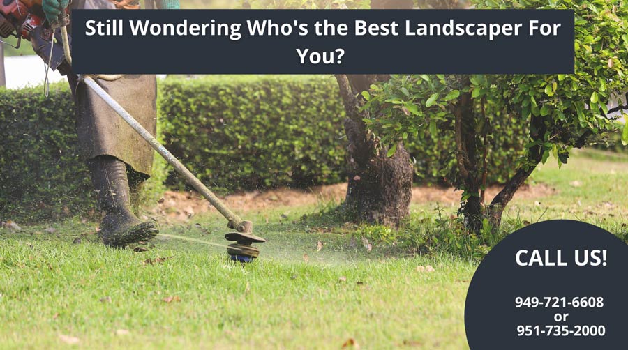 Person using a weed-whacker