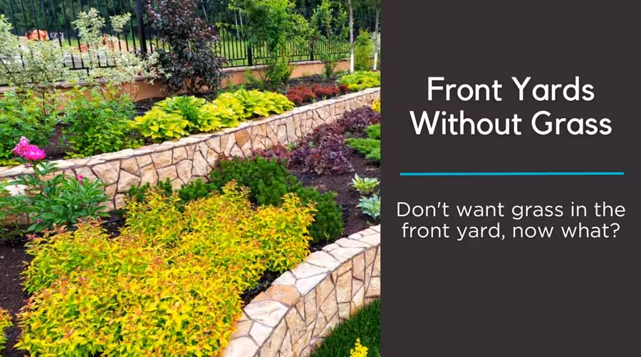 flower bed in a front yard