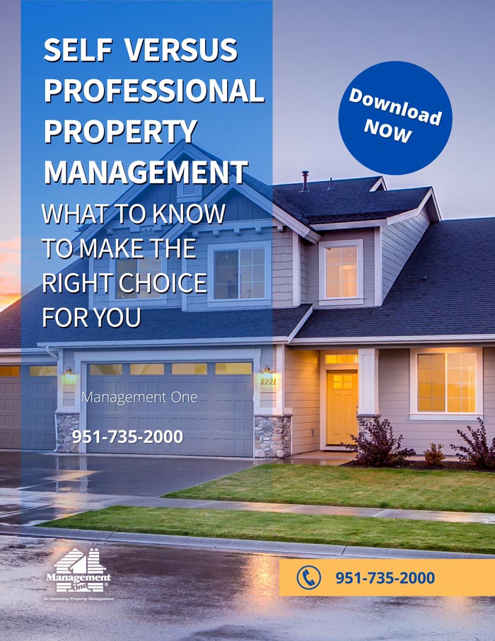 Cover to pdf with text reading "Self Versus Professional Property Management. What to know to make the right choice for you"