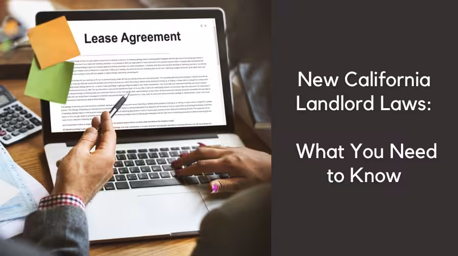 Lease Agreement on Laptop Screen