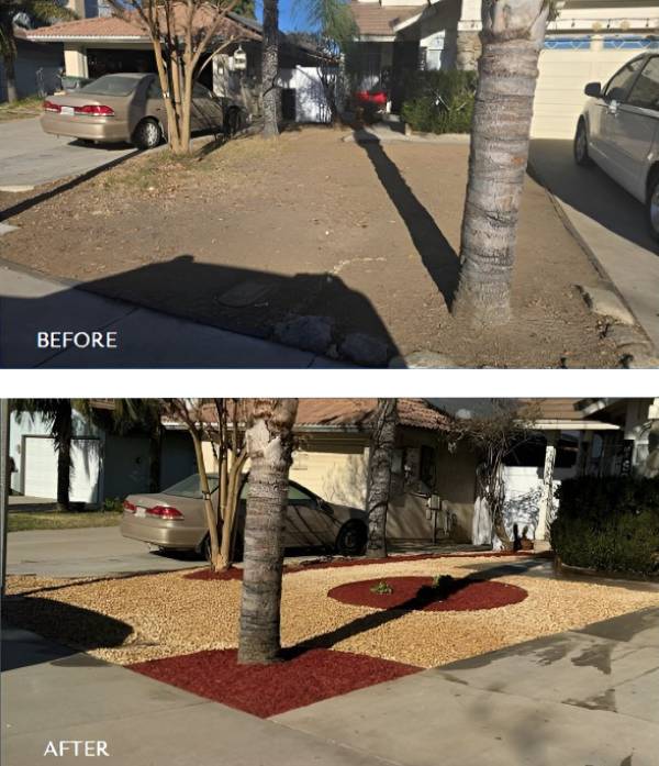 front yards dryscape