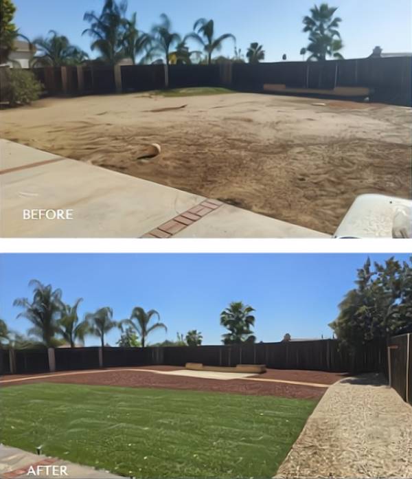 rear yard dryscape and grass